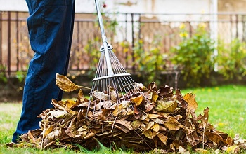 Leaf Raking